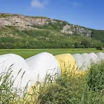 Pet Friendly In Roan Moen (Sor-Trondelag)