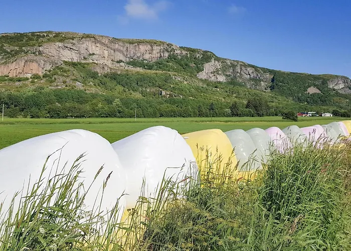 Pet Friendly In Roan Moen (Sor-Trondelag)